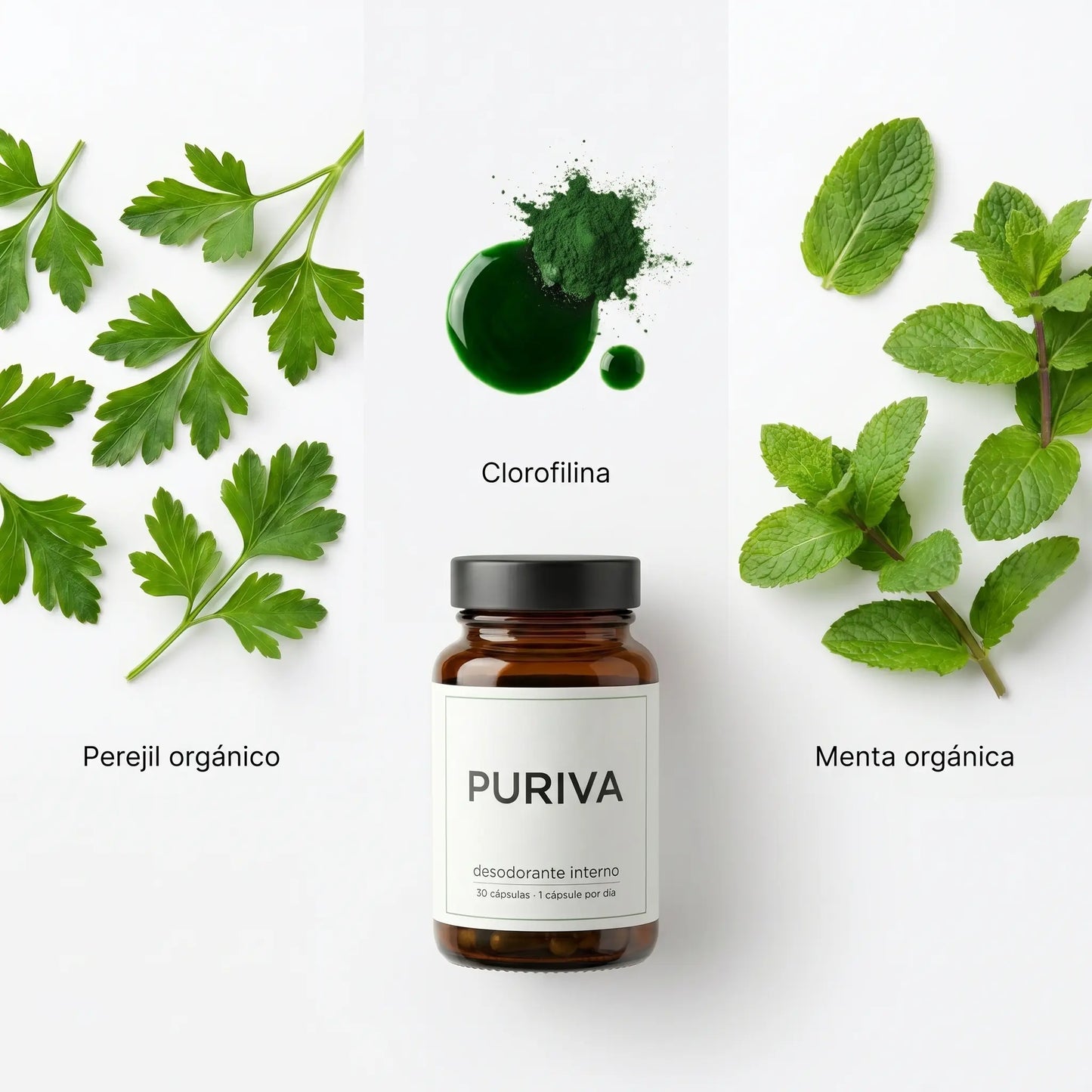 Puriva | Frescura Corporal 24hs desde Adentro