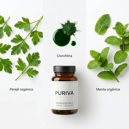 Puriva | Frescura Corporal 24hs desde Adentro